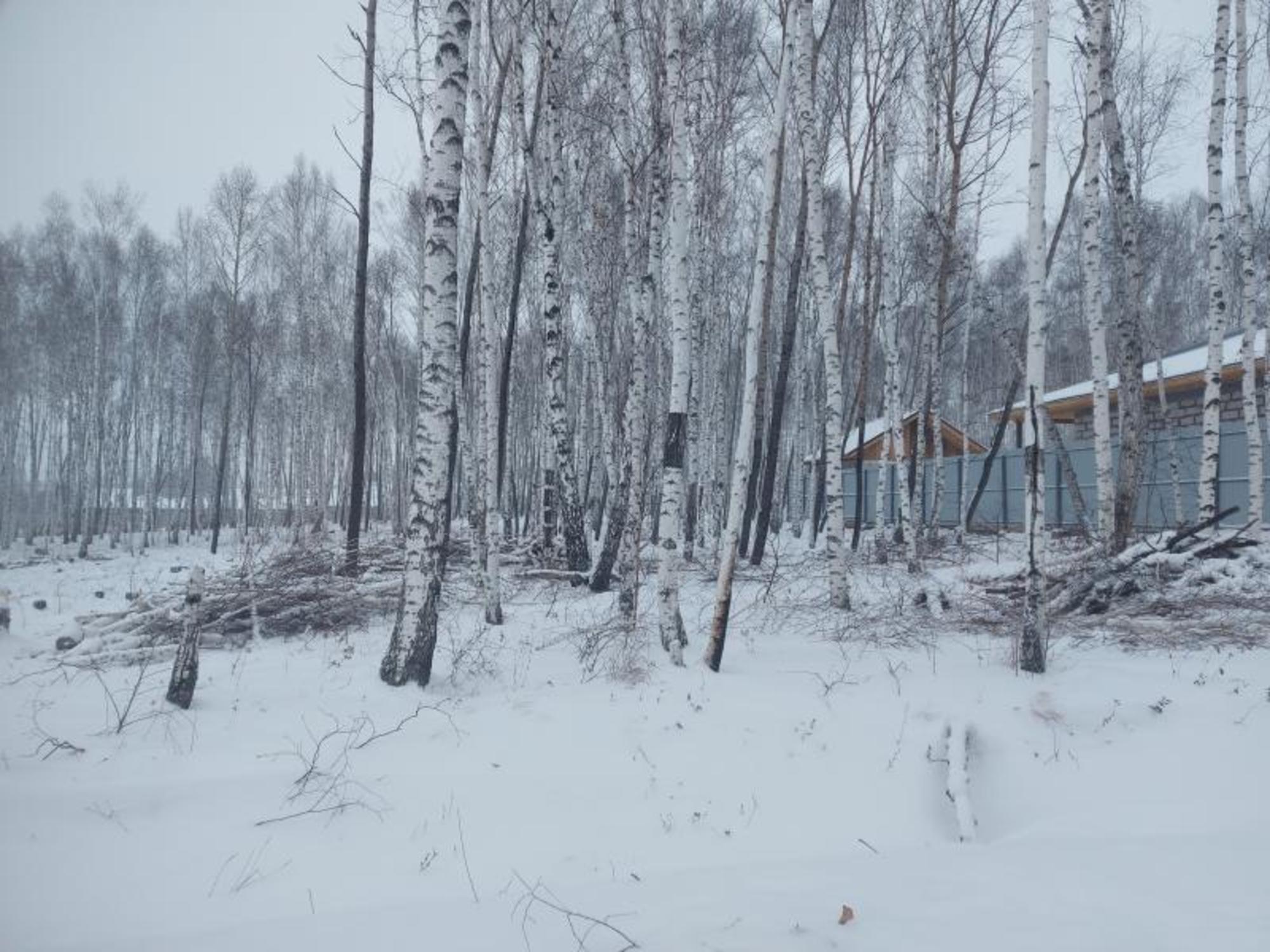 Купить землю, земельный участок за 9 500 000 рублей на Западная