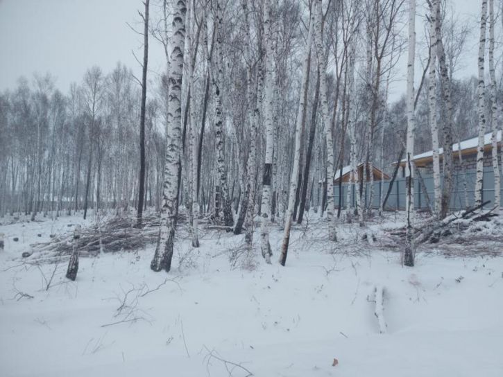 Земельный участок Западная