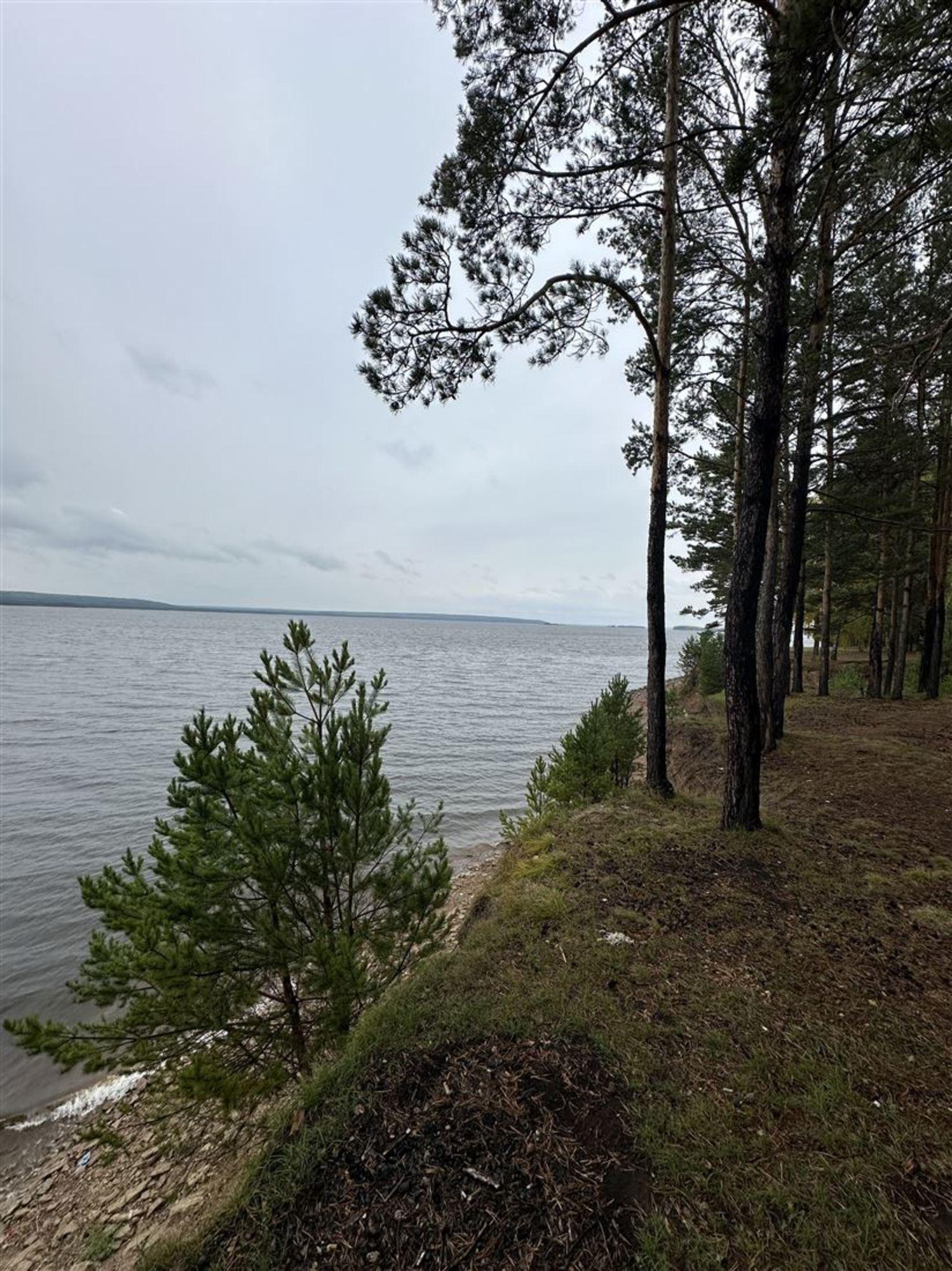 Купить землю, земельный участок за 160 000 рублей на ул Сосновая