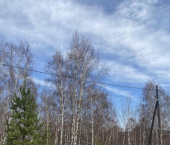 земля 60 сот Лесной поселок