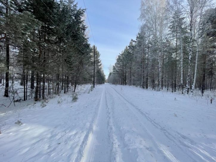 Земельный участок Березовая