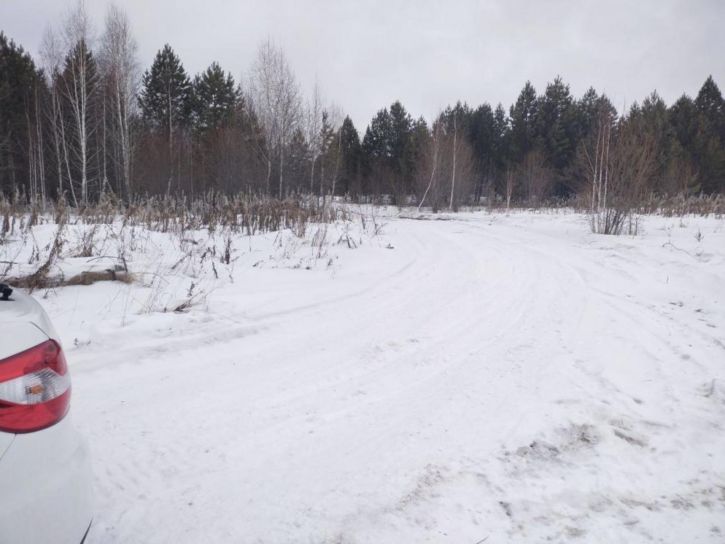 Земельный участок Поле Черепанова