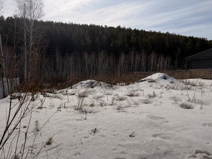 Земельный участок СНТ Медицинский Городок, Центральная, 9
