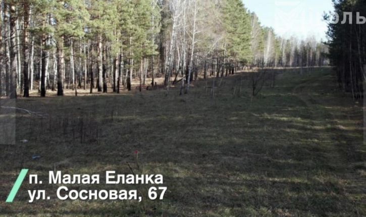 Земельный участок Сосновая