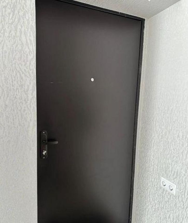 1-комн квартира Березовый Микрорайон, 249