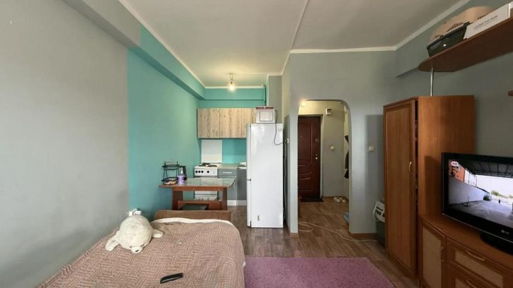 1-комн квартира -, 229