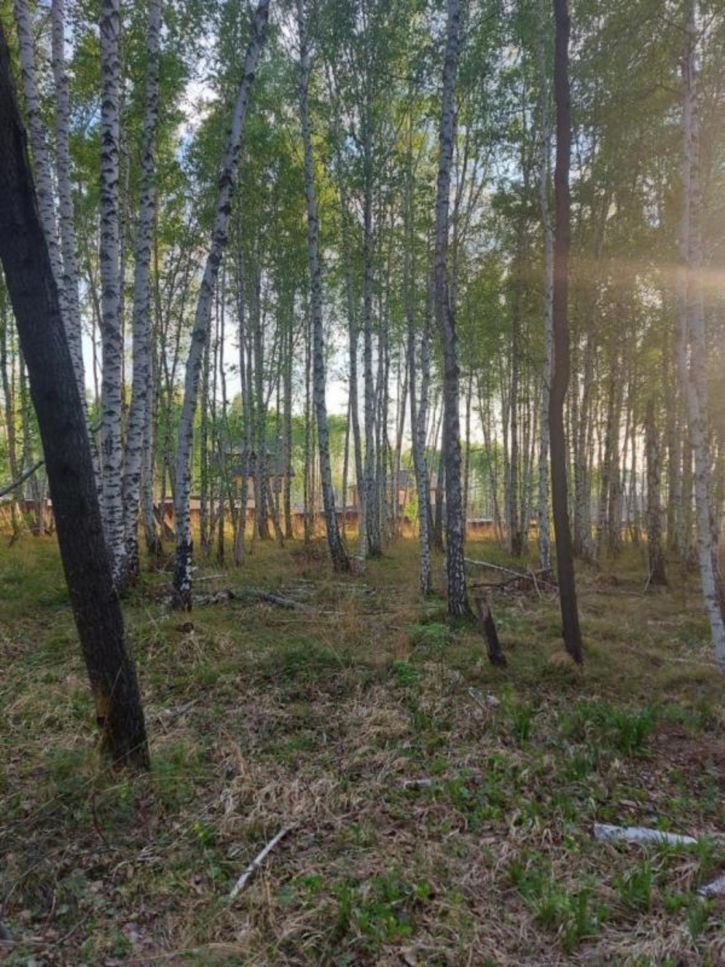 Земельный участок Западная