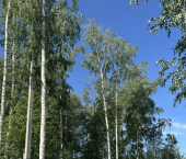 земля 5.11 сот Архитекторов пер, 2