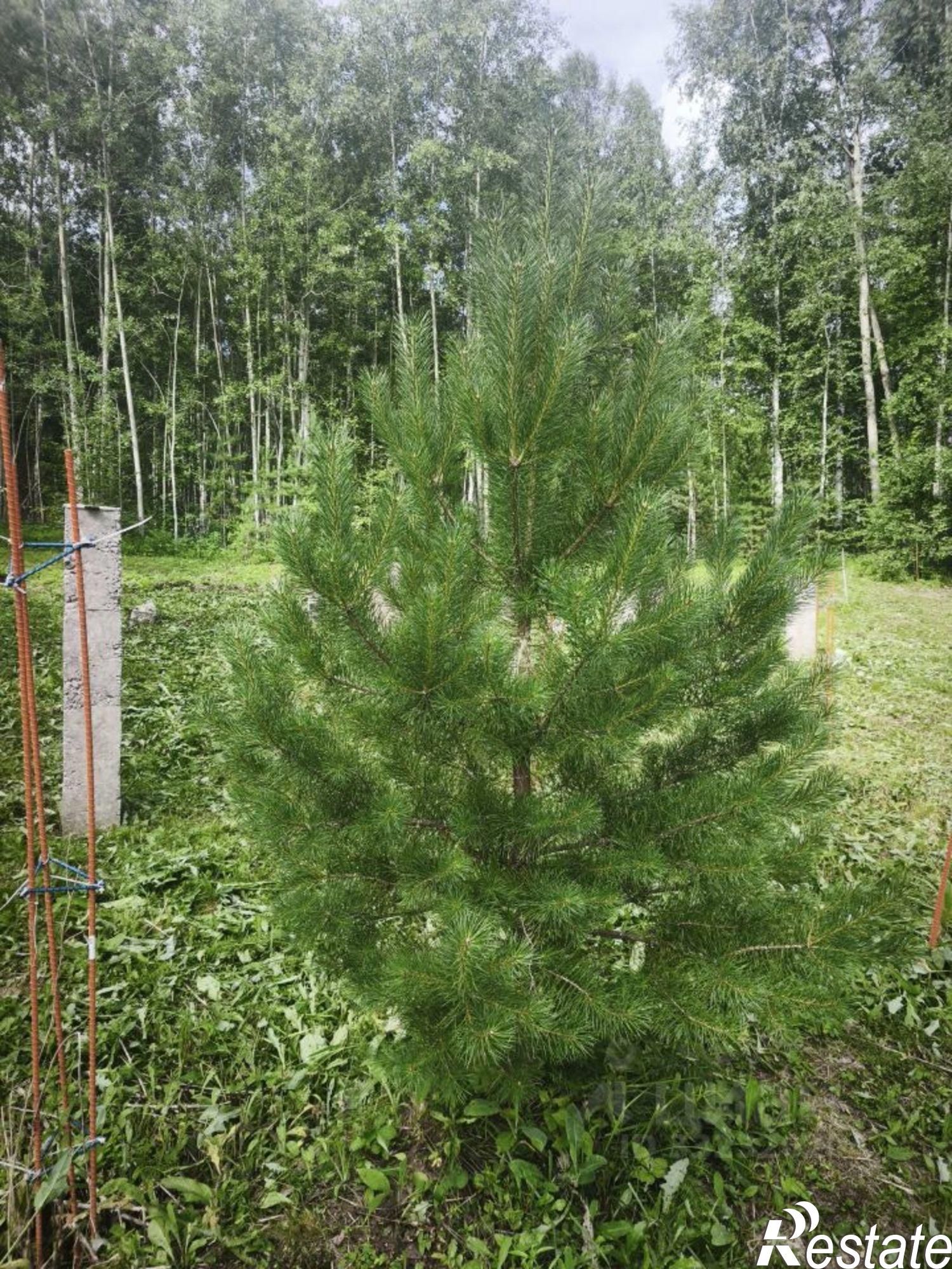 Купить землю, земельный участок за 1 900 000 рублей