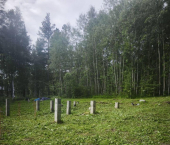 земля 10 сот 