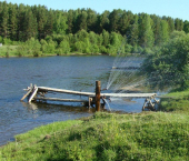 земля 79 сот 