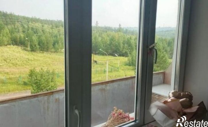 1-комн квартира пр-кт Дружбы Народов, 96,  д. 96