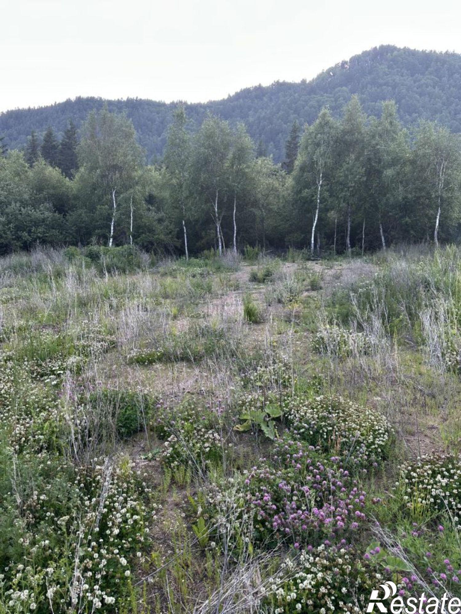 Купить землю, земельный участок за 10 900 000 рублей