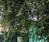 коттедж 38 кв м ул 1-я Железнодорожная, 15