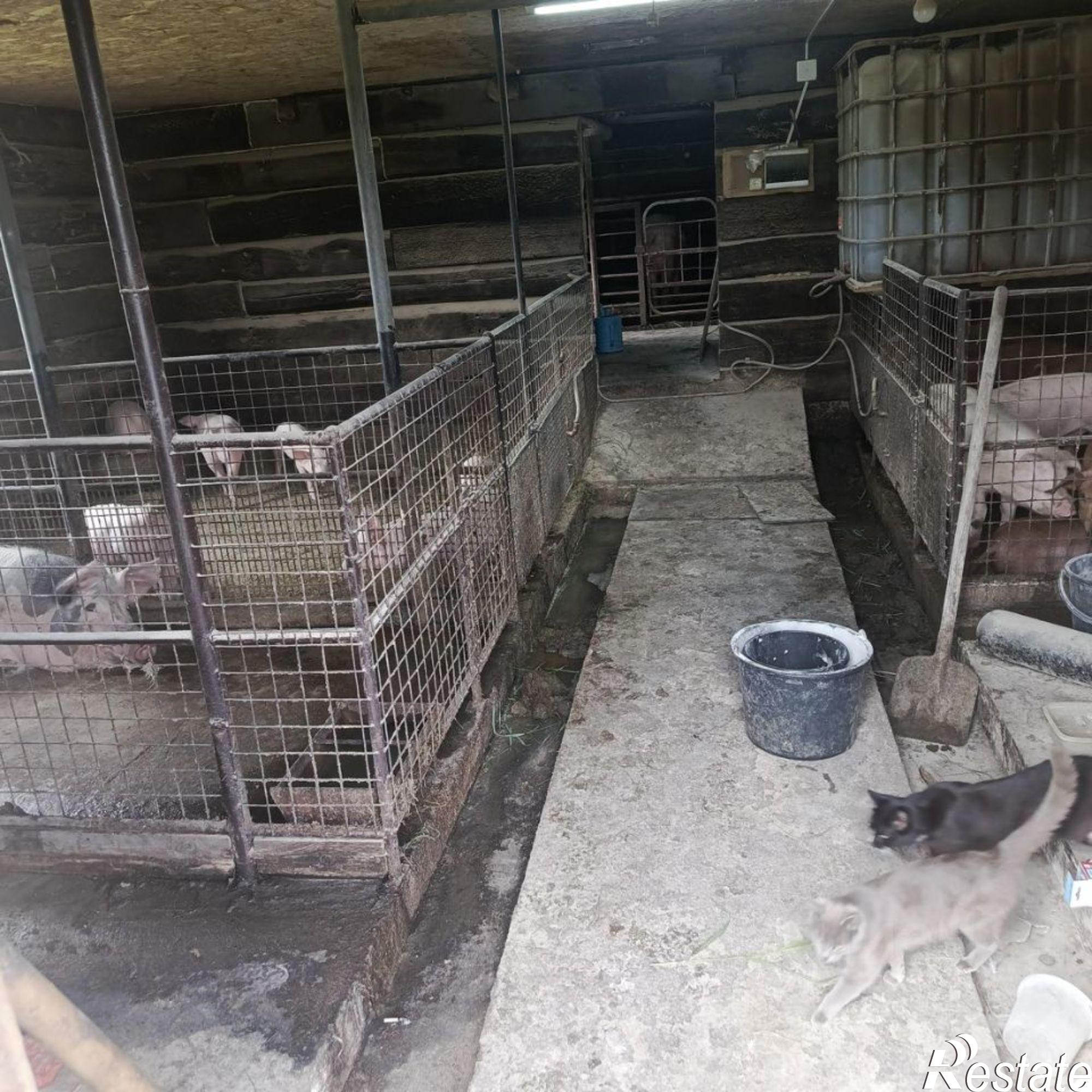 Купить дачу, дом, коттедж за 2 300 000 рублей на ул Чумакова, 58