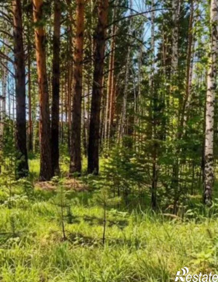 Земельный участок Тулунский район